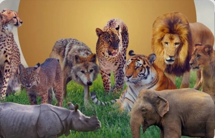 देहरादून। उत्तराखंड में मानव-वन्यजीव संघर्ष से प्रभावित लोगों के लिए सरकार ने एक बड़ी राहत देने वाला फैसला लिया है। अब जंगली जानवरों के हमले में घायल व्यक्तियों के इलाज पर राज्य सरकार ₹15 लाख तक का खर्च उठाएगी। मुख्यमंत्री पुष्कर सिंह धामी की घोषणा के अनुरूप इस प्रस्ताव पर तेजी से कार्रवाई की जा रही है और जल्द ही इसका शासनादेश जारी होने जा रहा है। सरकार के निर्णय के अनुसार, घायल व्यक्ति के इलाज में ₹5 लाख तक की राशि अटल आयुष्मान उत्तराखंड योजना के अंतर्गत खर्च की जाएगी, जबकि शेष ₹10 लाख तक की अतिरिक्त राशि राज्य सरकार स्वयं वहन करेगी। यह व्यवस्था उन मामलों में विशेष रूप से मददगार होगी, जहां घायलों को गंभीर चोटें आई हों और महंगे इलाज की आवश्यकता पड़ती हो। प्रदेश के अधिकांश क्षेत्रों में गुलदार, बाघ, भालू और हाथियों के हमले लगातार चिंता का विषय बने हुए हैं। पहाड़ी से लेकर मैदानी जिलों तक मानव-वन्यजीव संघर्ष की घटनाएं बढ़ी हैं। हालांकि सरकार ने पूर्व में वन्यजीव हमले में मृत्यु पर मुआवजा राशि को छह लाख से बढ़ाकर दस लाख रुपये किया था, लेकिन घायलों के उपचार के लिए कोई स्पष्ट अब तक वन्यजीव हमले में घायल व्यक्तियों को केवल मानव-वन्यजीव संघर्ष राहत वितरण निधि के तहत 15 हजार से तीन लाख रुपये तक का मुआवजा दिया जाता था। गंभीर मामलों में यह राशि अपर्याप्त साबित हो रही थी, क्योंकि कई बार निजी अस्पतालों में इलाज कराना मजबूरी बन जाता है। इस कमी को देखते हुए मुख्यमंत्री ने हाल में वन्यजीव हमलों में घायलों के इलाज के लिए अतिरिक्त सहायता की घोषणा की थी। इसके अनुपालन में वन विभाग ने प्रस्ताव तैयार कर शासन को भेज दिया है, जिस पर वित्त विभाग से राय ली जा चुकी है। प्रमुख सचिव वन आर.के. सुधांशु के अनुसार, अटल आयुष्मान योजना के अतिरिक्त ₹10 लाख तक की राशि राज्य सरकार द्वारा वहन करने संबंधी प्रस्ताव जल्द ही स्वीकृत किया जाएगा। इस बीच शासन ने सभी जिलाधिकारियों को निर्देश दिए हैं कि वन्यजीव हमले की किसी भी घटना में घायलों के उपचार में कोई कोताही न बरती जाए और जरूरत पड़ने पर तत्काल समुचित चिकित्सा व्यवस्था सुनिश्चित की जाए। सरकार के इस फैसले से उन ग्रामीण और वनांचल क्षेत्रों के लोगों को बड़ी राहत मिलेगी, जहां वन्यजीव हमले की घटनाएं अधिक होती हैं। इससे न केवल पीड़ित परिवारों पर आर्थिक बोझ कम होगा, बल्कि समय पर बेहतर इलाज मिलने से जान बचाने की संभावनाएं भी बढ़ेंगी।